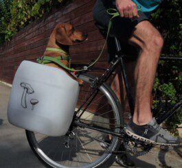 Dog 2024 panniers bike